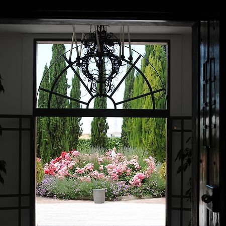 Casa Freda Bed and Breakfast Foggia Buitenkant foto